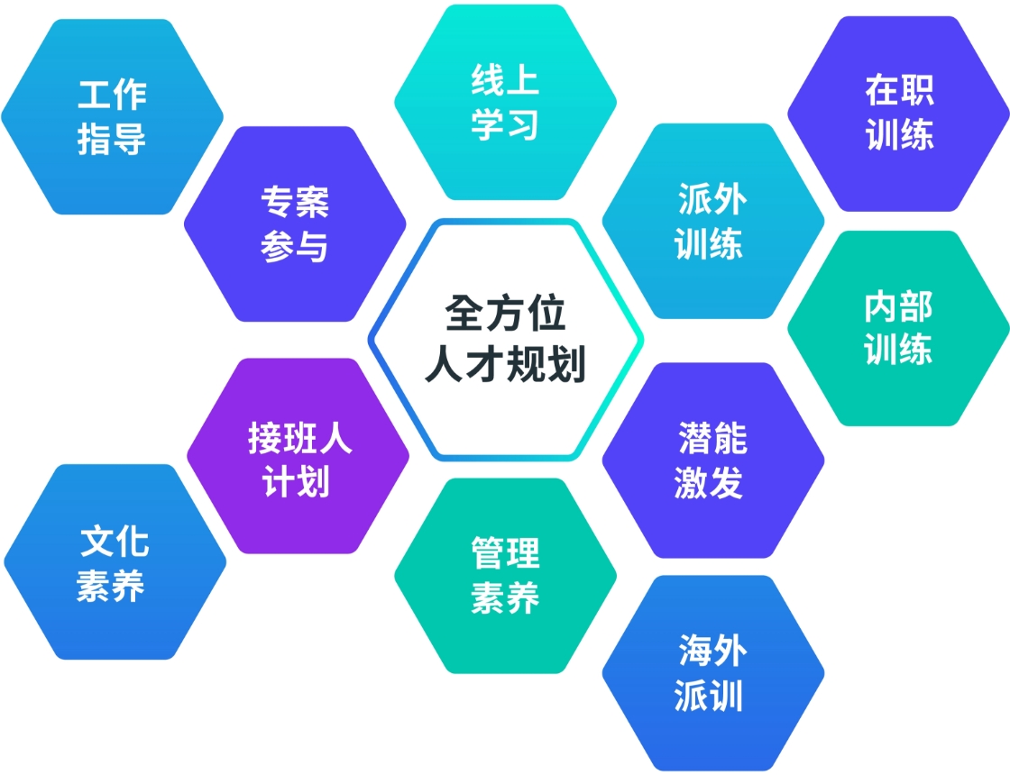 全方位人才规划