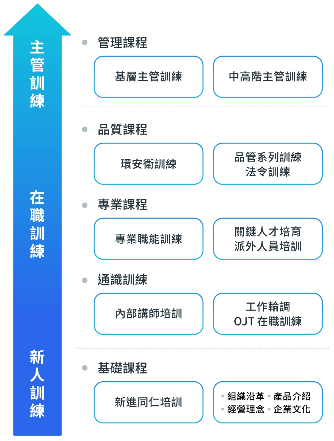人才發展架構 人才發展架構